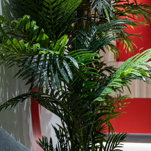 Coca Cola Thessaloniki 2025