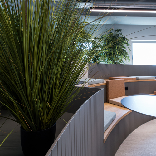 Coca Cola Thessaloniki 2025