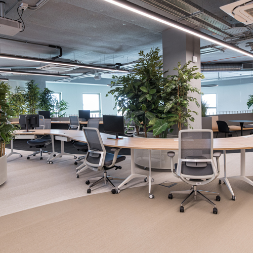 Coca Cola Thessaloniki 2025