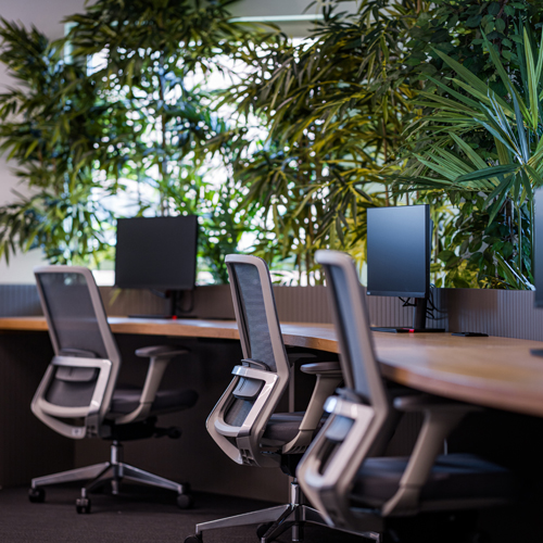 Coca Cola Thessaloniki 2025